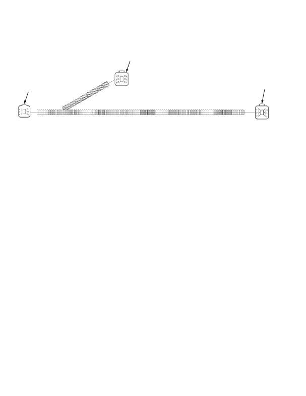 EUROPE WIRE HARNESS REAR