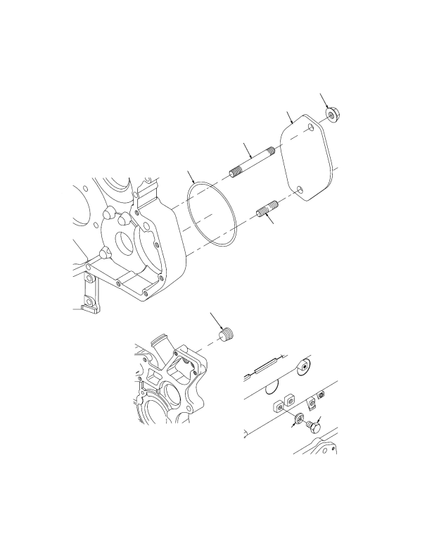 BLANKING PLATE AND PLUGS TIER II ENGINE